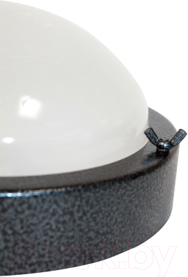 Светильник ЖКХ Элетех Терма-3 НББ 03-60-003 / 1005500583