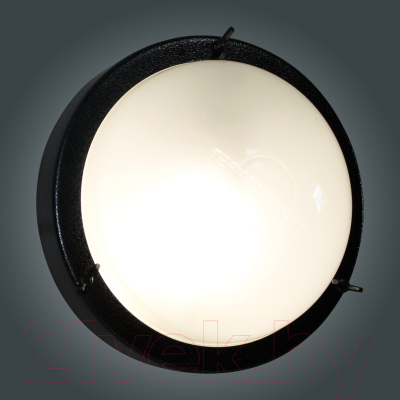 Светильник ЖКХ Элетех Терма-3 НББ 03-60-003 / 1005500583