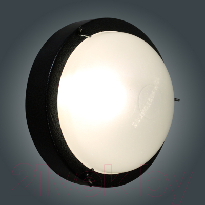 Светильник ЖКХ Элетех Терма-3 НББ 03-60-003 / 1005500583