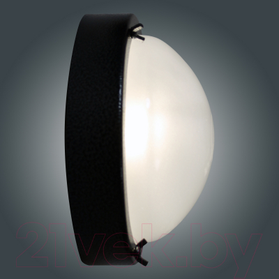 Светильник ЖКХ Элетех Терма-3 НББ 03-60-003 / 1005500583