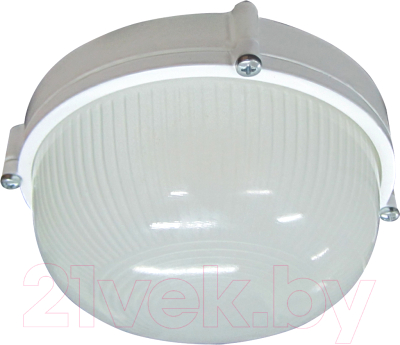Светильник ЖКХ Элетех Банник 1101 НПП 03-100-009 / 1005500930 - фото