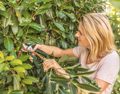 Секатор аккумуляторный Bosch EasyPrune 0.600.8B2.100