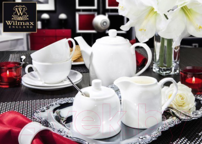 Заварочный чайник Wilmax WL-994034/1С