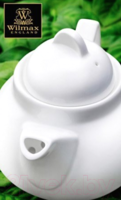 Заварочный чайник Wilmax WL-994009/1С