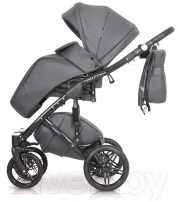 Детская универсальная коляска Riko Naturo Ecco 2 в 1