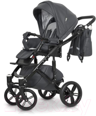 Детская универсальная коляска Riko Naturo Ecco 2 в 1