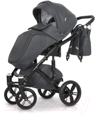 Детская универсальная коляска Riko Naturo Ecco 2 в 1