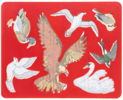 Трафарет ЛУЧ Птицы / 9С 449-08 - фото