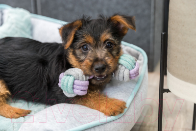 Игрушка для собак Trixie Гантели 32811