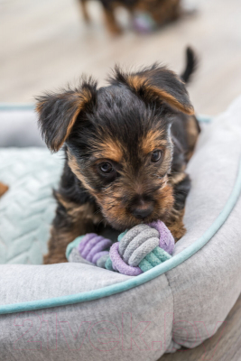 Игрушка для собак Trixie Гантели 32811