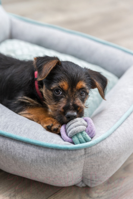 Игрушка для собак Trixie Гантели 32811