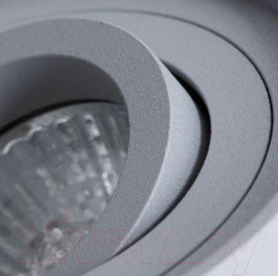 Точечный светильник Arte Lamp Falcon Picolo A5645PL-1GY