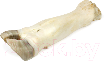 Лакомство для собак TiTBiT Нога говяжья большая / 319434