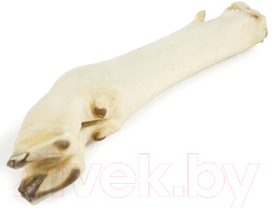 Лакомство для собак TiTBiT Нога баранья / 0627