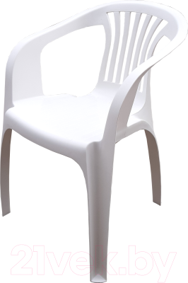 Стул пластиковый Термопласт ЖРВИ 164с - фото