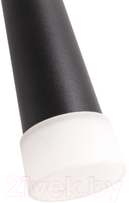 Потолочный светильник Arte Lamp Orione A6010SP-1BK