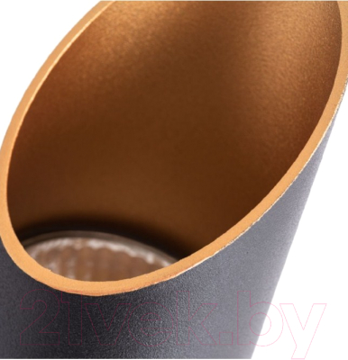 Потолочный светильник Arte Lamp Pilon-Gold A1537PL-1BK