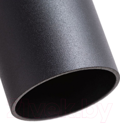 Потолочный светильник Arte Lamp Sirius A1524SP-1BK