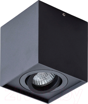 Точечный светильник Arte Lamp Galopin A1461PL-1BK - фото