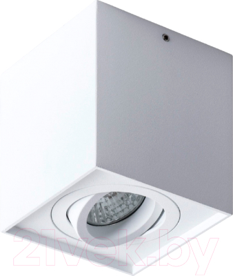 Точечный светильник Arte Lamp Galopin A1461PL-1WH - фото