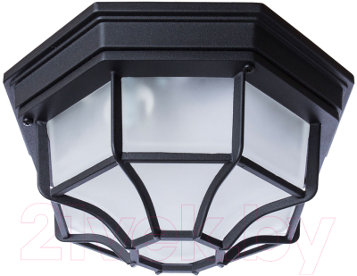 Бра уличное Arte Lamp Pegasus Piatto A3100PL-1BK - фото