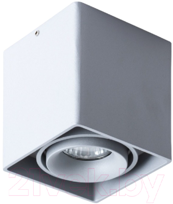 Точечный светильник Arte Lamp Pictor A5654PL-1GY - фото