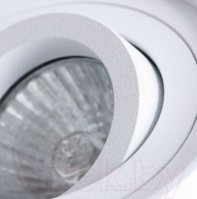 Точечный светильник Arte Lamp Falcon Picolo A5645PL-1WH