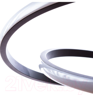 Потолочный светильник Arte Lamp Presto A2522SP-2BK