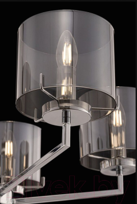 Люстра Freya Karen FR5096PL-08CH