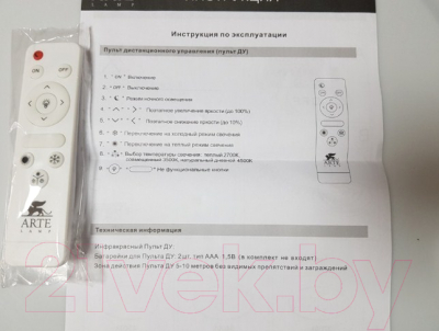 Потолочный светильник Arte Lamp Arena A2673PL-1BK