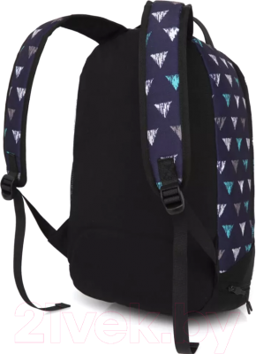 Школьный рюкзак Sun Eight SE-APS-5004