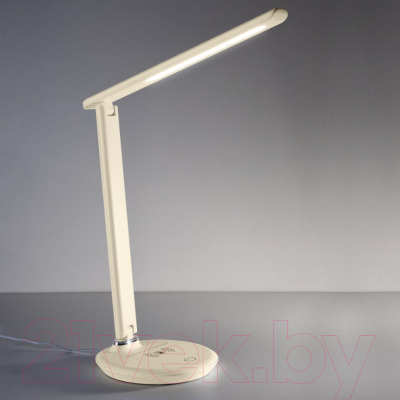 Настольная лампа Elektrostandard Brava TL90530 - фото