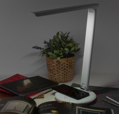 Настольная лампа Elektrostandard Brava TL90530 (белый)