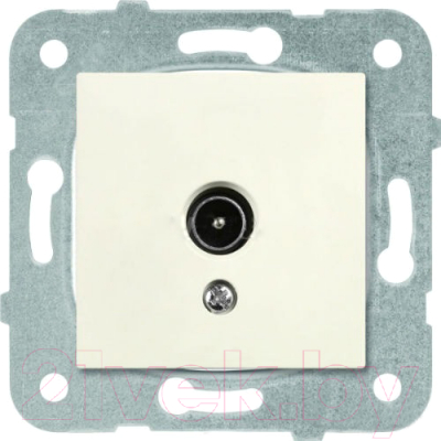 Розетка Panasonic Karre Plus WKTT04512BG-BY - фото