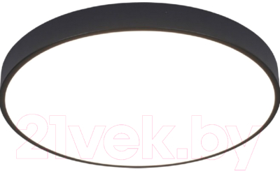 Потолочный светильник Arte Lamp Arena A2672PL-1BK - фото