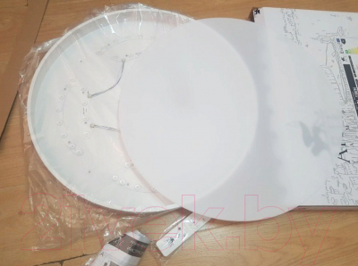 Потолочный светильник Arte Lamp Arena A2661PL-1WH