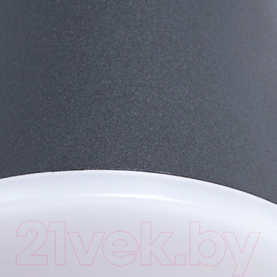 Бра уличное Arte Lamp Chico A2212AL-2BK