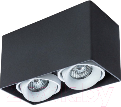 Комплект точечных светильников Arte Lamp Pictor A5654PL-2BK - фото