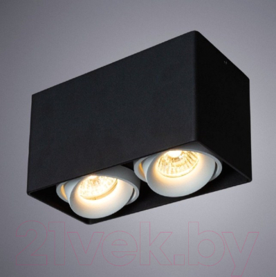 Комплект точечных светильников Arte Lamp Pictor A5654PL-2BK