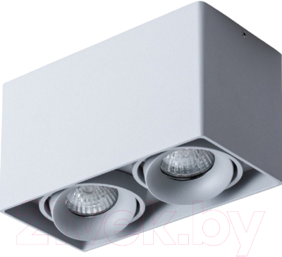 Комплект точечных светильников Arte Lamp Pictor A5654PL-2GY - фото