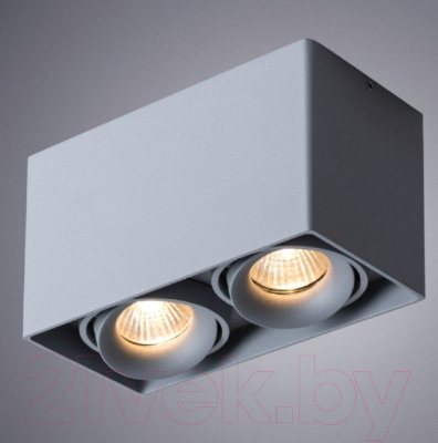 Комплект точечных светильников Arte Lamp Pictor A5654PL-2GY