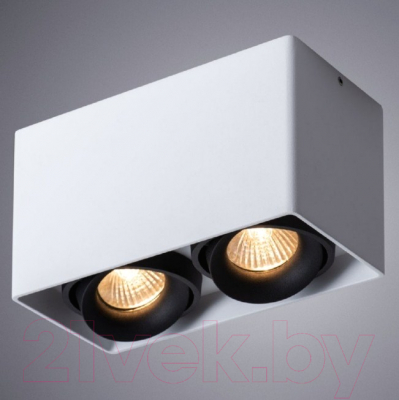 Комплект точечных светильников Arte Lamp Pictor A5654PL-2WH