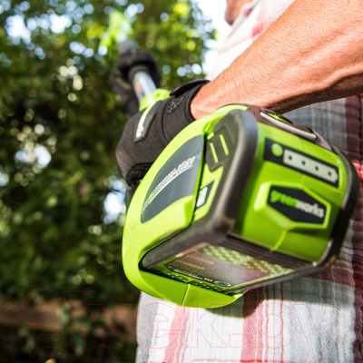 Кусторез Greenworks G24PH51