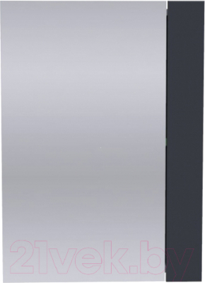 Шкаф с зеркалом для ванной АВН Лофт 50 / 62.21 (5)