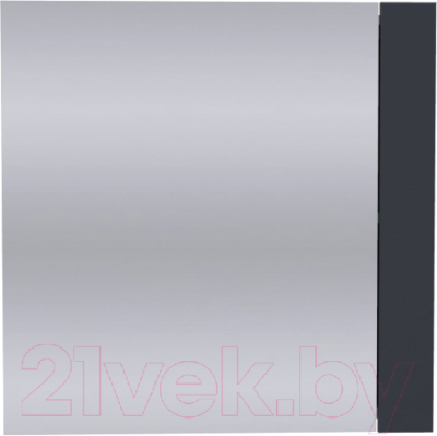 Шкаф с зеркалом для ванной АВН Лофт 70 / 62.24 (5)