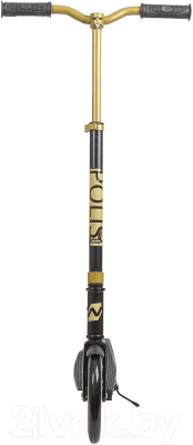 Самокат городской Novatrack Polis Pro 230.POLIS.GD20