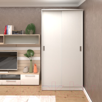 Шкаф Кортекс-мебель Лагуна ШК01-00