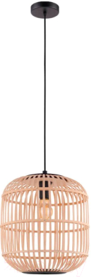 Потолочный светильник Eglo Bordesley 43216 - фото