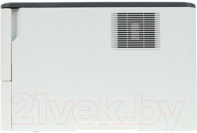 Принтер Pantum P3010D