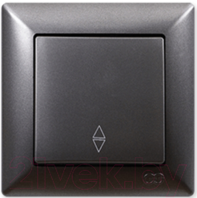 Выключатель Gunsan Visage 01281700-150107 - фото